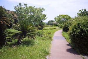 大崎公園から見た潮目