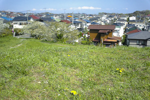 太洋／亀が丘 住宅地