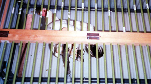 p54-2