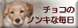 `R̃mLȖ