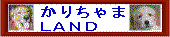 肿܂k`mc